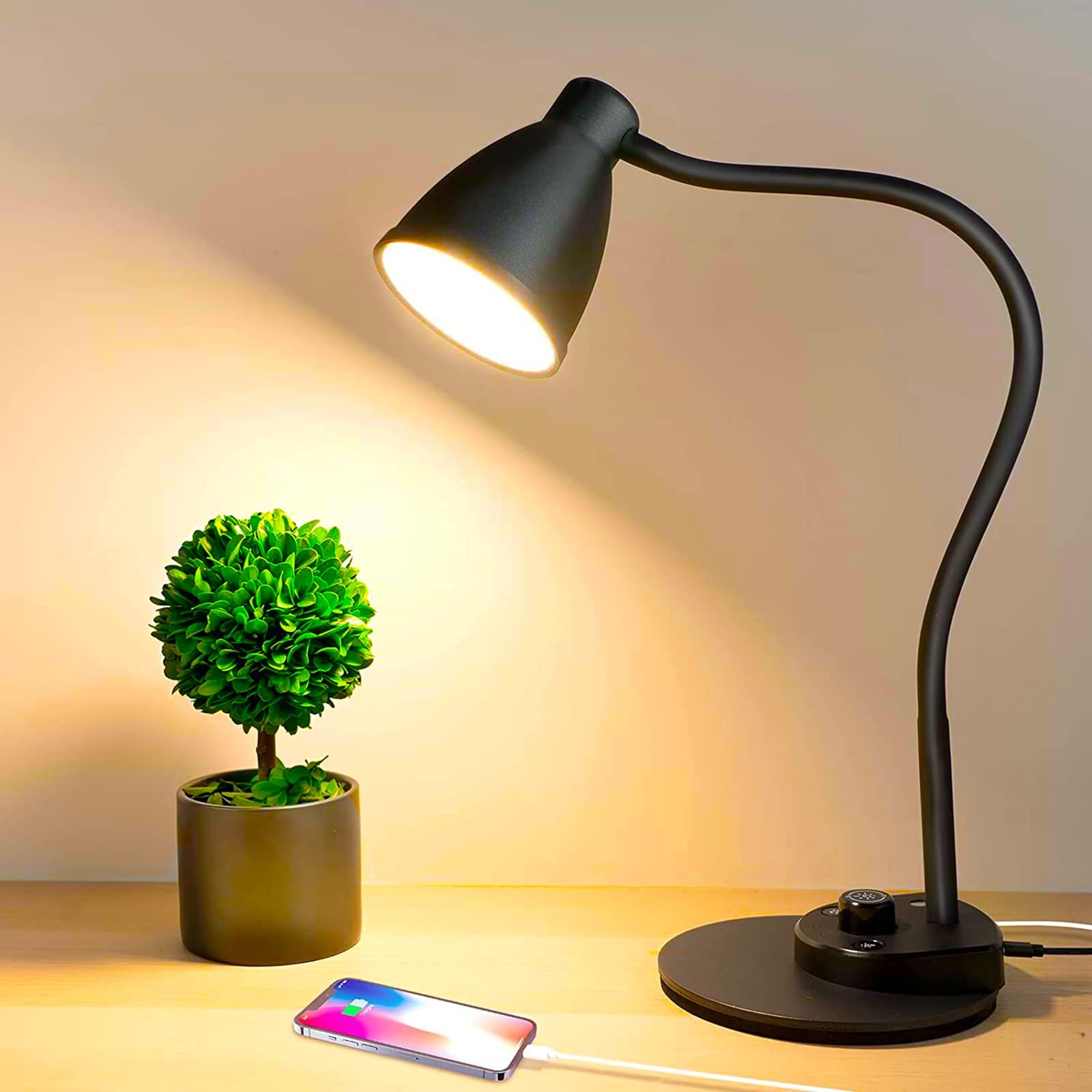 BOHON LED Desk Lamp with USB Charging Port