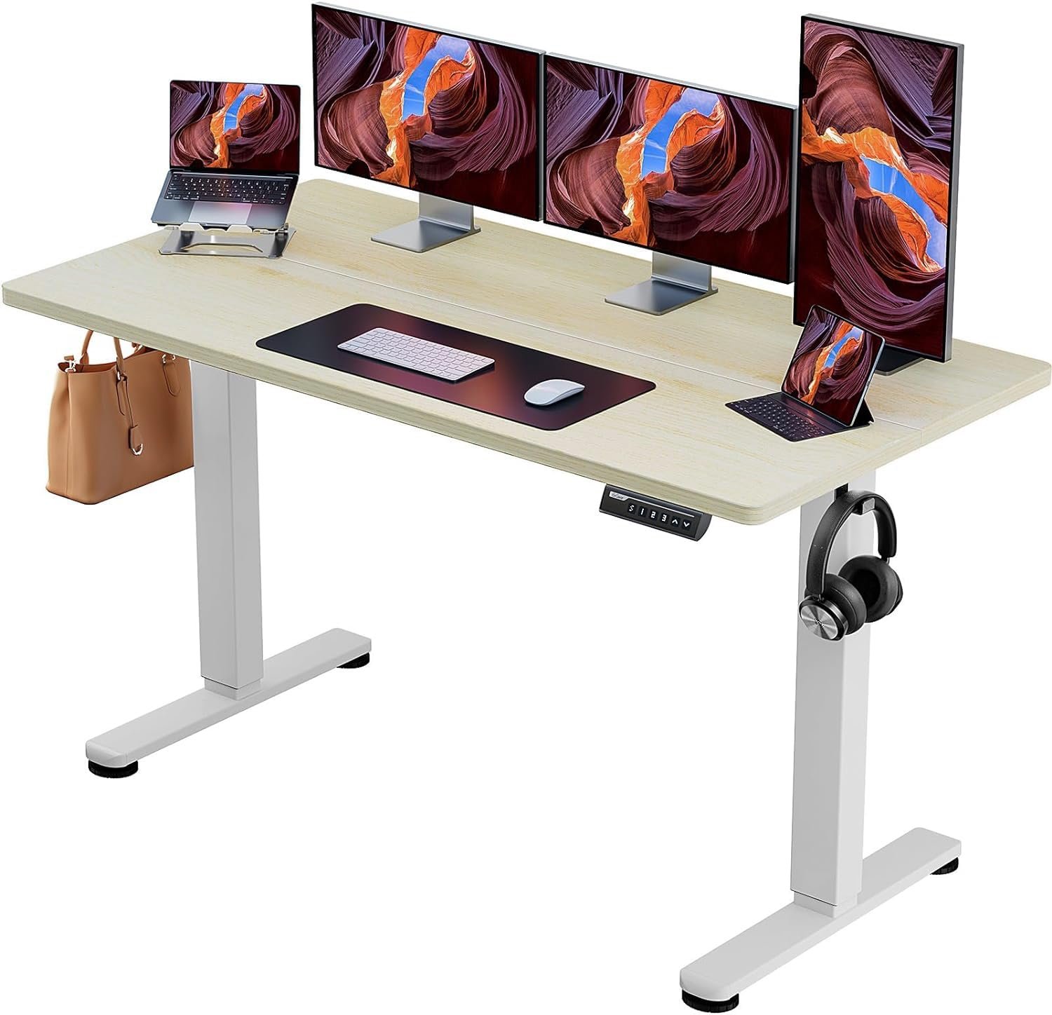 ErGear Height Adjustable Electric Standing Desk